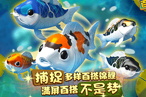 Wild Koi