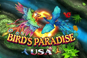 Bird Paradise