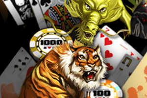 Dragon Tiger